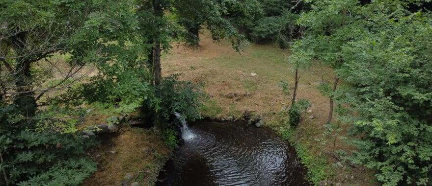 DCIM100MEDIADJI 0893.JPG